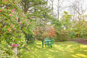 Photo 3- click for photo gallery